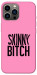 Чехол Skinny для iPhone 13 Pro Max