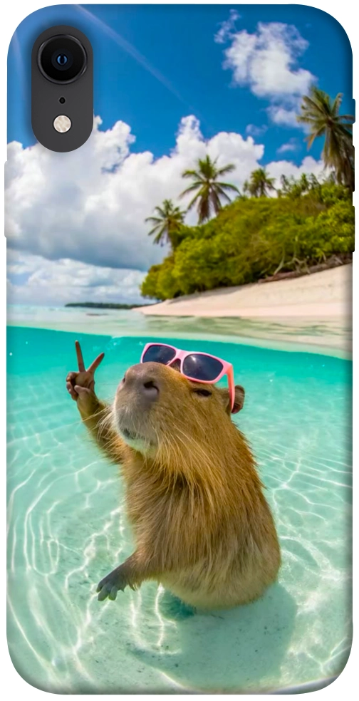 Чехол Сapybara vacation для iPhone XR