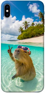 Чехол Сapybara vacation для iPhone XS Max