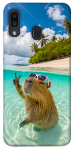 Чехол Сapybara vacation для Samsung Galaxy A20 A205F