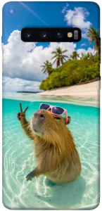 Чехол Сapybara vacation для Galaxy S10 Plus (2019)