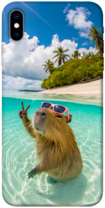 Чохол Сapybara vacation для iPhone XS