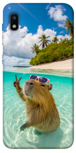 Чехол Сapybara vacation для Galaxy A10 (A105F)