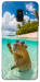 Чехол Сapybara vacation для Galaxy A8 (2018)