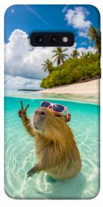 Чохол Сapybara vacation для Galaxy S10e