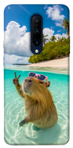 Чехол Сapybara vacation для OnePlus 7 Pro