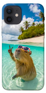 Чехол Сapybara vacation для iPhone 12