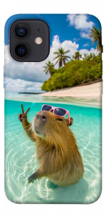 Чехол Сapybara vacation для iPhone 12 mini