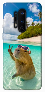 Чехол Сapybara vacation для OnePlus 8 Pro