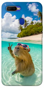 Чехол Сapybara vacation для Oppo A5s