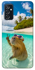 Чехол Сapybara vacation для Galaxy M52