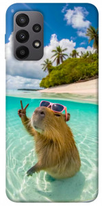 Чехол Сapybara vacation для Galaxy A23