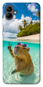 Чехол Сapybara vacation для Galaxy A04