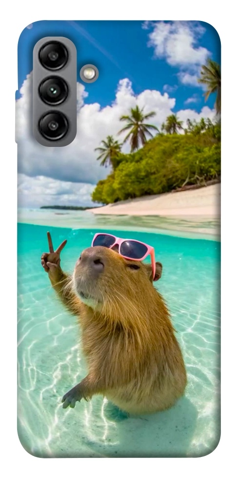 Чехол Сapybara vacation для Galaxy A04s