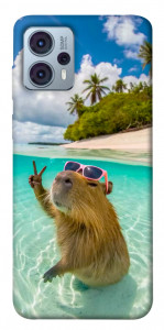 Чохол Сapybara vacation для Motorola Moto G23