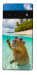 Чохол Сapybara vacation для Google Pixel 6 Pro