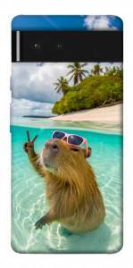 Чехол Сapybara vacation для Google Pixel 6