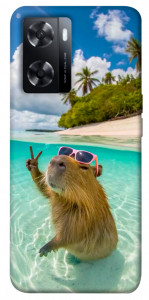 Чехол Сapybara vacation для Oppo A77s