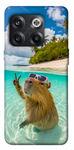 Чохол Сapybara vacation для OnePlus 10T