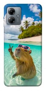 Чехол Сapybara vacation для Motorola Moto G14