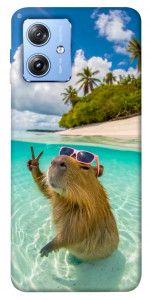 Чохол Сapybara vacation для Motorola Moto G84