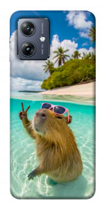 Чехол Сapybara vacation для Motorola Moto G54