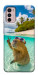 Чехол Сapybara vacation для Motorola Moto G42