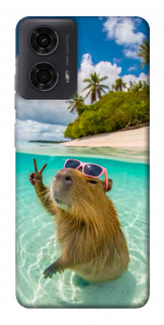 Чехол Сapybara vacation для Motorola Moto G24