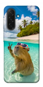 Чехол Сapybara vacation для Galaxy A26 5G