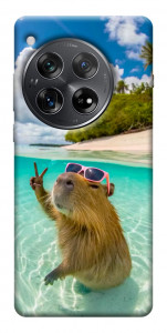 Чехол Сapybara vacation для OnePlus 12