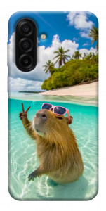 Чохол Сapybara vacation для Samsung Galaxy A17 5G