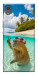 Чохол Сapybara vacation для Sony Xperia XA1