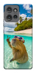 Чехол Сapybara vacation для Motorola Edge 50