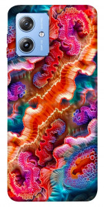Чохол Corals для Motorola Moto G84