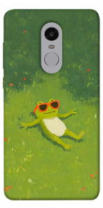 Чехол Лягушачий chill для Xiaomi Redmi Note 4 (Snapdragon)