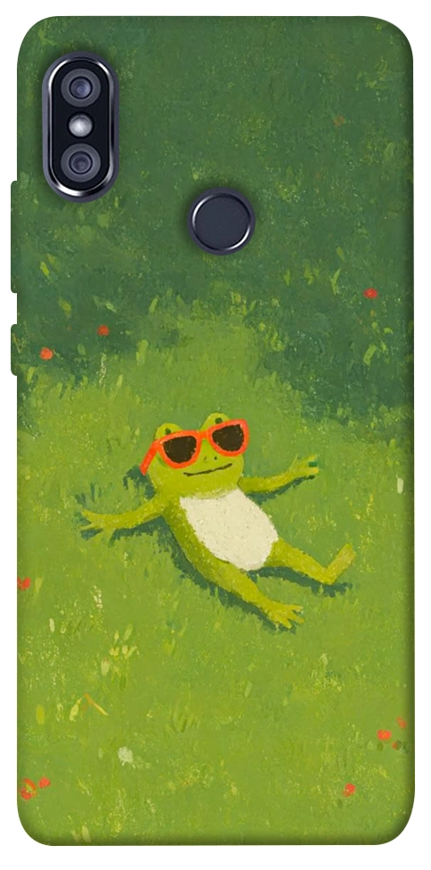 Чехол Лягушачий chill для Xiaomi Redmi Note 5 (Dual Camera)