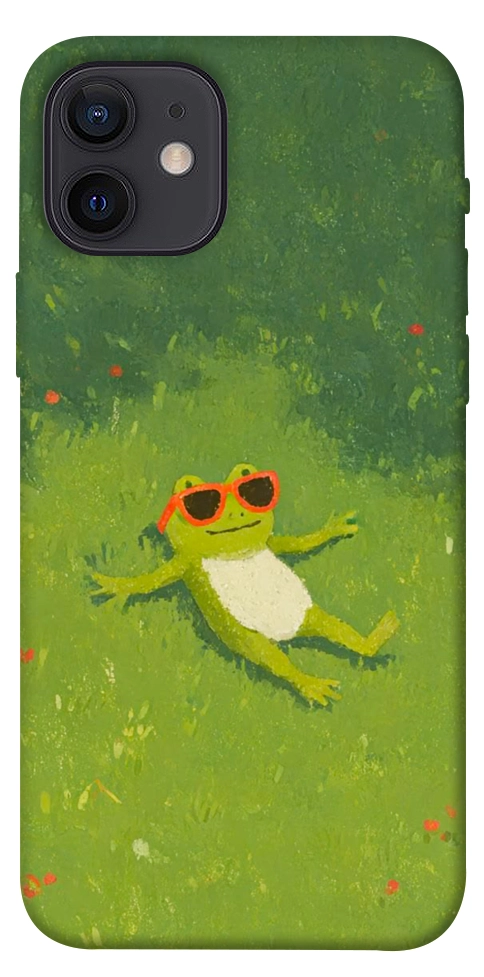 Чехол Лягушачий chill для iPhone 12