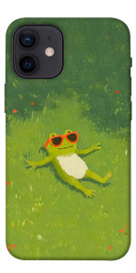 Чехол Лягушачий chill для iPhone 12 mini