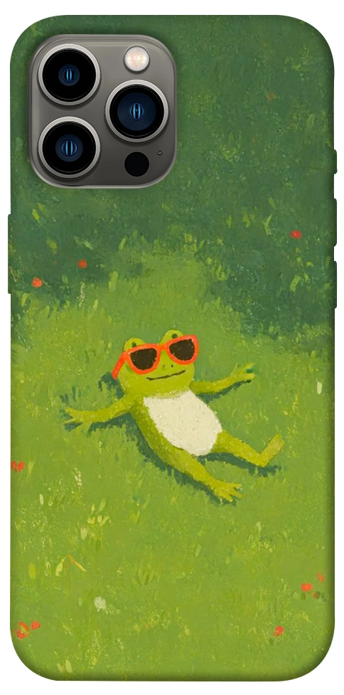 Чехол Лягушачий chill для iPhone 13 Pro Max