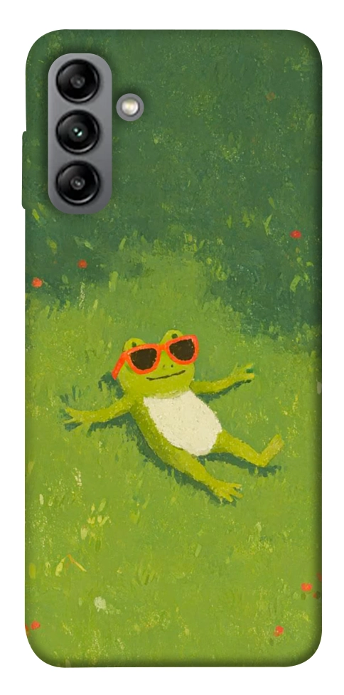 Чехол Лягушачий chill для Galaxy A04s