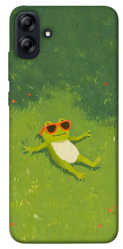 Чехол Лягушачий chill для Galaxy A04e