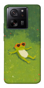Чохол Жаб'ячий chill для Xiaomi 13T