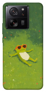 Чехол Лягушачий chill для Xiaomi 13T Pro