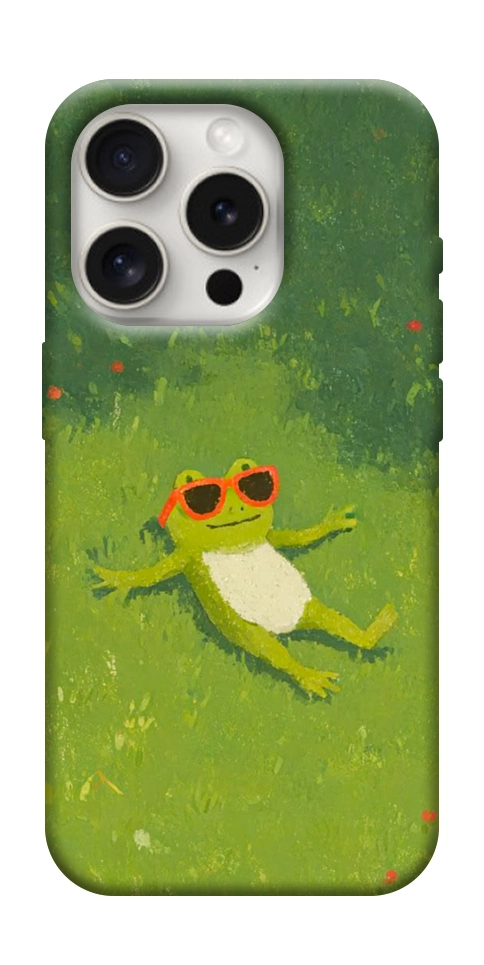 Чехол Лягушачий chill для iPhone 16 Pro Max