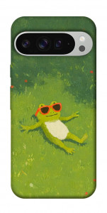 Чехол Лягушачий chill для Google Pixel 9 Pro XL