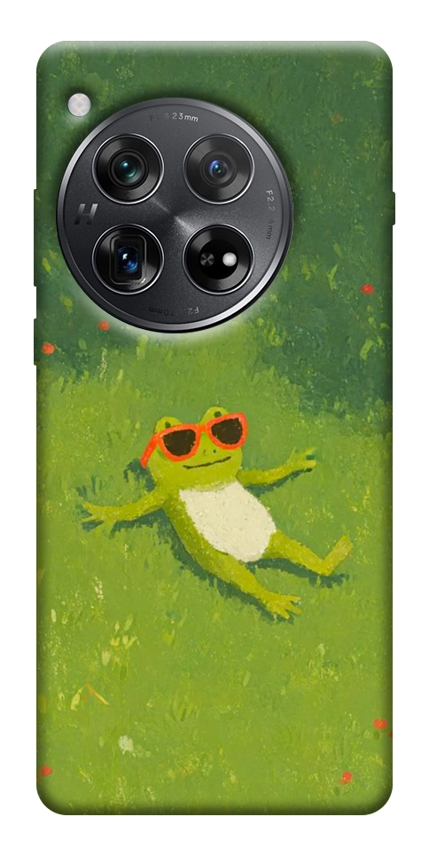 Чехол Лягушачий chill для OnePlus 12