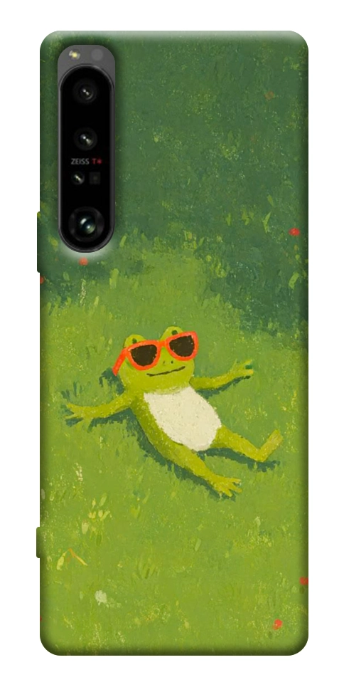 Чехол Лягушачий chill для Sony Xperia 1 IV
