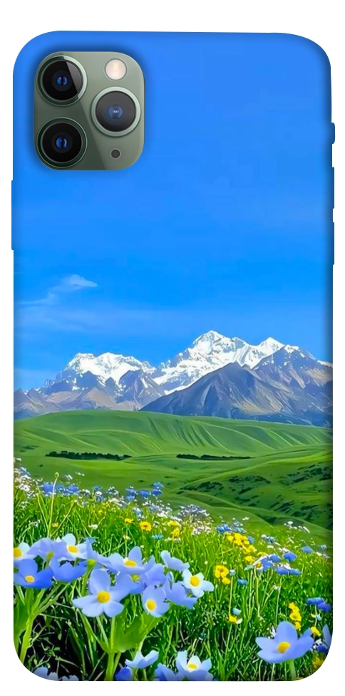 Чохол Summer landscape для iPhone 11 Pro Max