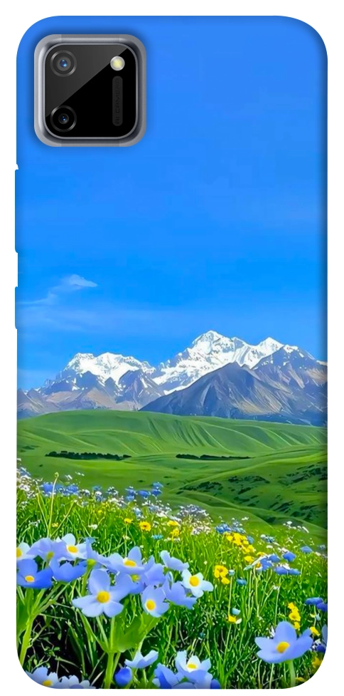 Чохол Summer landscape для Realme C11