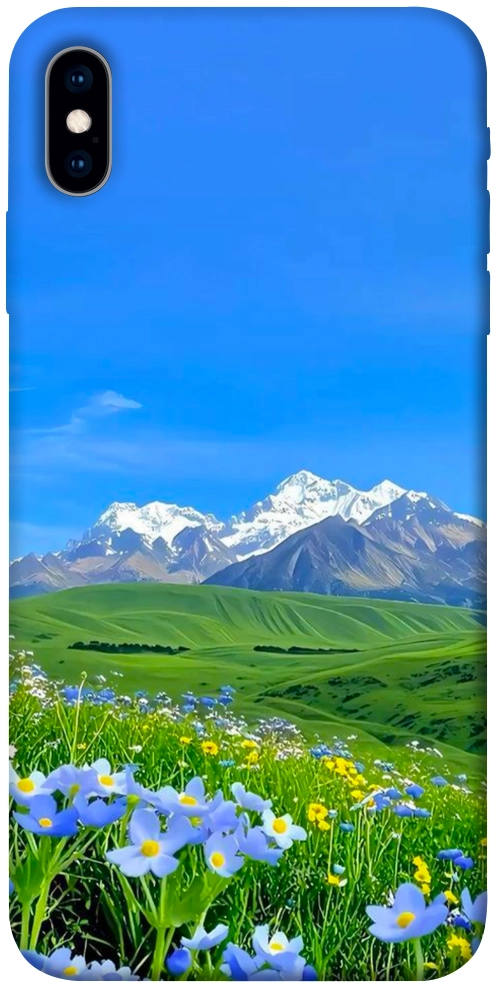 Чохол Summer landscape для iPhone XS